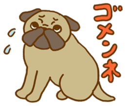 Masa-Q's PUG life sticker #1827748