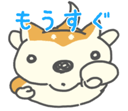 SHIBAINU Shibataro Sticker sticker #1827945