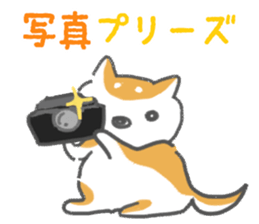 SHIBAINU Shibataro Sticker sticker #1827949
