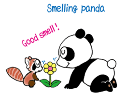 PANDA and panda sticker #1828223