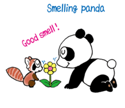 PANDA and panda sticker #1828223