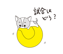 Tennis Momo sticker #1828445