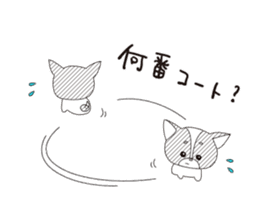 Tennis Momo sticker #1828465