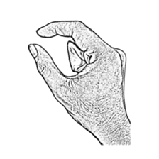 Hand no letter version of the drawing sticker #1829438