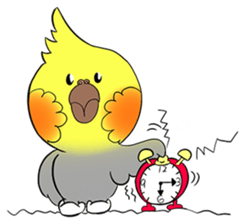 Cockatiel Cotton Candy & Jin's Daily - 2 sticker #1830361