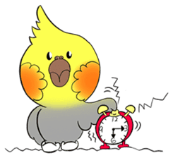 Cockatiel Cotton Candy & Jin's Daily - 2 sticker #1830361