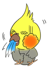 Cockatiel Cotton Candy & Jin's Daily - 2 sticker #1830365