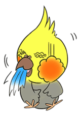 Cockatiel Cotton Candy & Jin's Daily - 2 sticker #1830365
