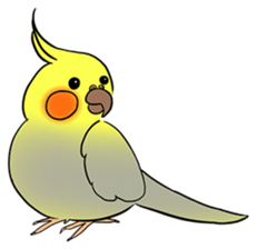 Cockatiel Cotton Candy & Jin's Daily - 2 sticker #1830366