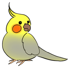 Cockatiel Cotton Candy & Jin's Daily - 2 sticker #1830366