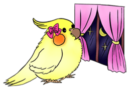 Cockatiel Cotton Candy & Jin's Daily - 2 sticker #1830368