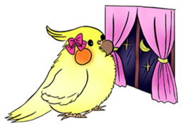 Cockatiel Cotton Candy & Jin's Daily - 2 sticker #1830368