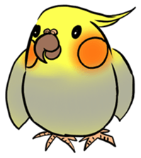 Cockatiel Cotton Candy & Jin's Daily - 2 sticker #1830369
