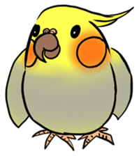 Cockatiel Cotton Candy & Jin's Daily - 2 sticker #1830369