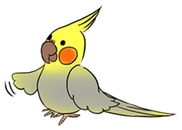 Cockatiel Cotton Candy & Jin's Daily - 2 sticker #1830370