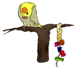 Cockatiel Cotton Candy & Jin's Daily - 2 sticker #1830372