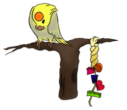 Cockatiel Cotton Candy & Jin's Daily - 2 sticker #1830372