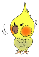 Cockatiel Cotton Candy & Jin's Daily - 2 sticker #1830374