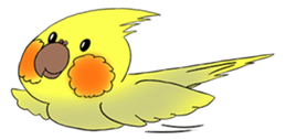 Cockatiel Cotton Candy & Jin's Daily - 2 sticker #1830375