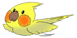Cockatiel Cotton Candy & Jin's Daily - 2 sticker #1830375