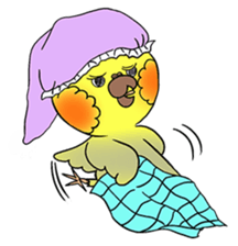 Cockatiel Cotton Candy & Jin's Daily - 2 sticker #1830377