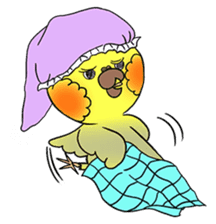 Cockatiel Cotton Candy & Jin's Daily - 2 sticker #1830377