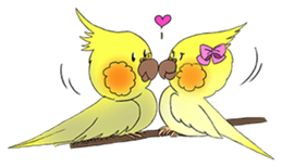 Cockatiel Cotton Candy & Jin's Daily - 2 sticker #1830378