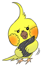 Cockatiel Cotton Candy & Jin's Daily - 2 sticker #1830379