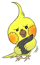 Cockatiel Cotton Candy & Jin's Daily - 2 sticker #1830379
