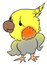 Cockatiel Cotton Candy & Jin's Daily - 2 sticker #1830380