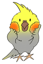 Cockatiel Cotton Candy & Jin's Daily - 2 sticker #1830381