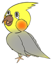 Cockatiel Cotton Candy & Jin's Daily - 2 sticker #1830382