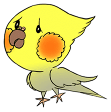 Cockatiel Cotton Candy & Jin's Daily - 2 sticker #1830383