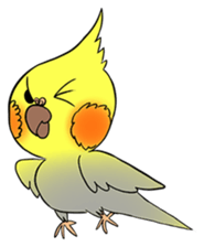 Cockatiel Cotton Candy & Jin's Daily - 2 sticker #1830384