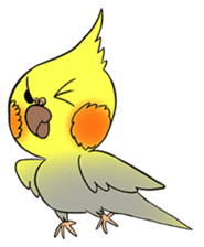 Cockatiel Cotton Candy & Jin's Daily - 2 sticker #1830384