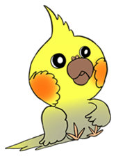 Cockatiel Cotton Candy & Jin's Daily - 2 sticker #1830385