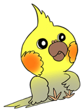 Cockatiel Cotton Candy & Jin's Daily - 2 sticker #1830385