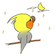 Cockatiel Cotton Candy & Jin's Daily - 2 sticker #1830386