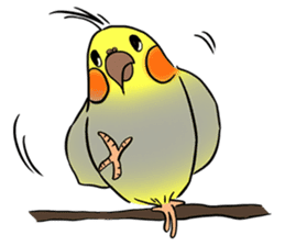 Cockatiel Cotton Candy & Jin's Daily - 2 sticker #1830387