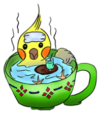 Cockatiel Cotton Candy & Jin's Daily - 2 sticker #1830390