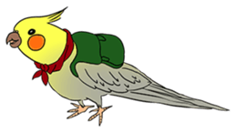 Cockatiel Cotton Candy & Jin's Daily - 2 sticker #1830392