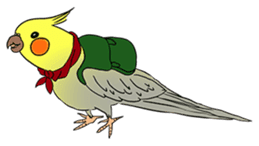 Cockatiel Cotton Candy & Jin's Daily - 2 sticker #1830392