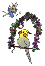 Cockatiel Cotton Candy & Jin's Daily - 2 sticker #1830394