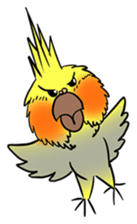 Cockatiel Cotton Candy & Jin's Daily - 2 sticker #1830395