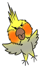 Cockatiel Cotton Candy & Jin's Daily - 2 sticker #1830395