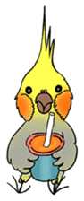 Cockatiel Cotton Candy & Jin's Daily - 2 sticker #1830400