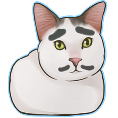 omame, azuki beans, and  families