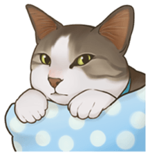 omame, azuki beans, and  families sticker #1836081