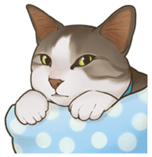 omame, azuki beans, and families sticker #1836081