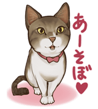 omame, azuki beans, and families sticker #1836094